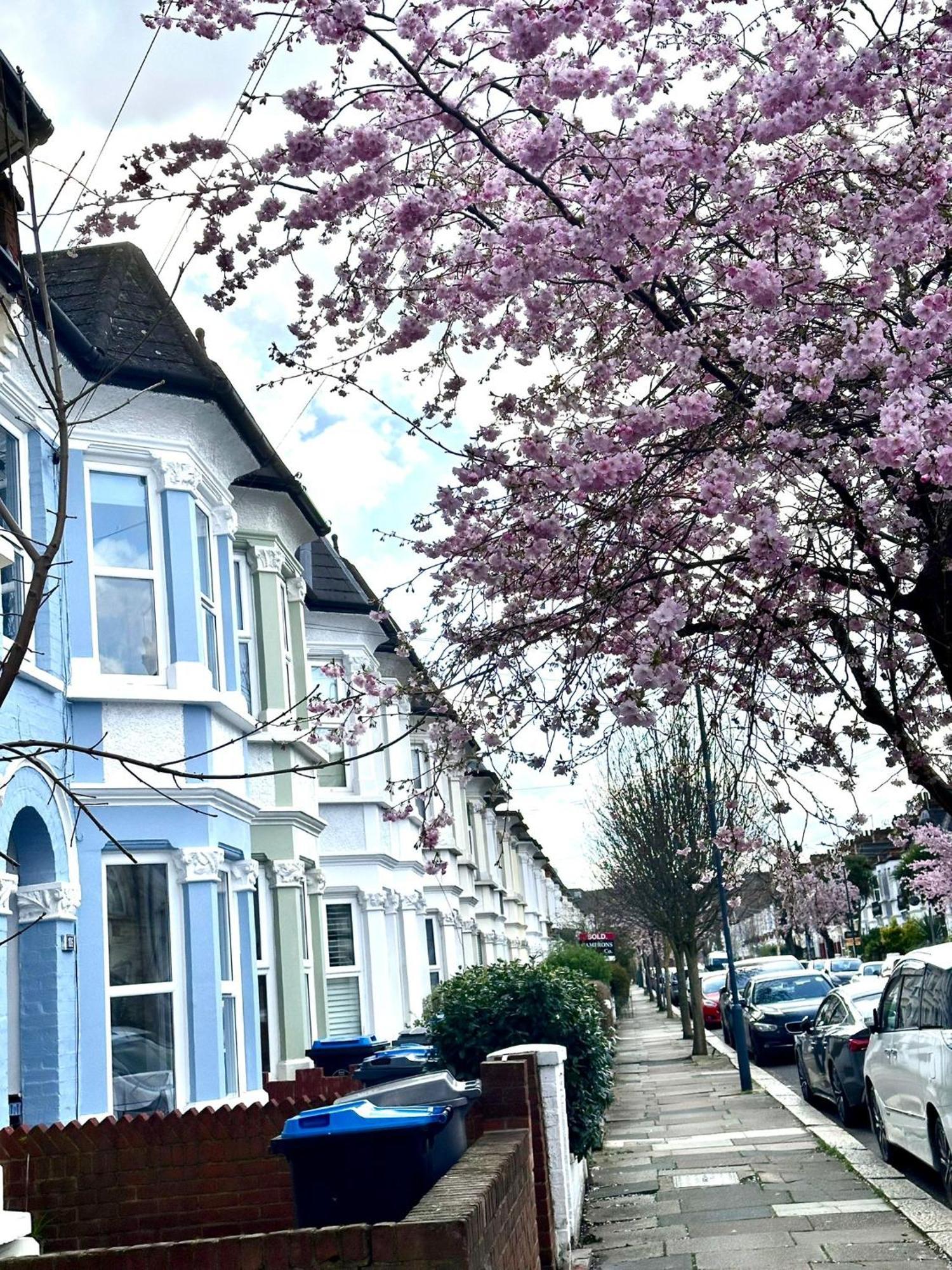 Charming, Renovated Residence In Willesden Green London Exterior photo